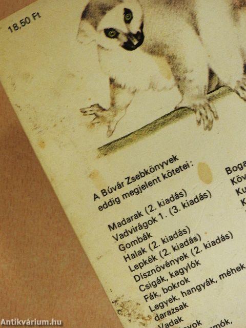 Állatkerti emlősök