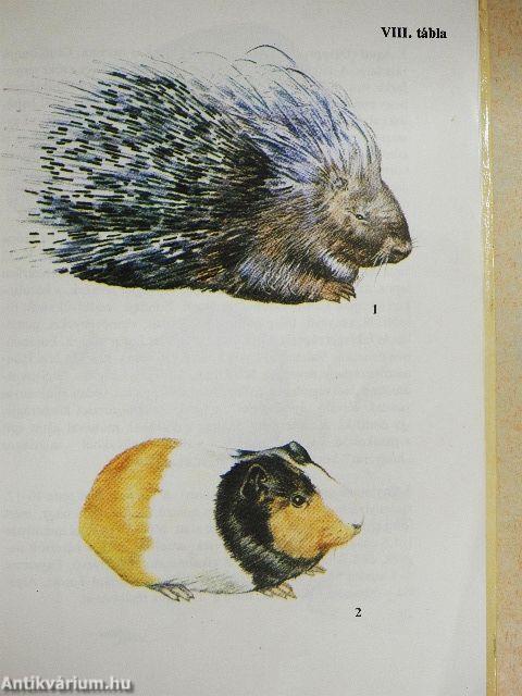 Állatkerti emlősök