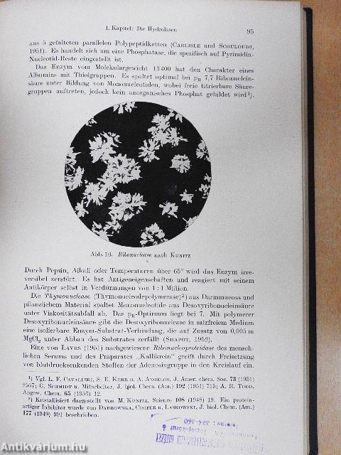 Kurzes Lehrbuch der Enzymologie