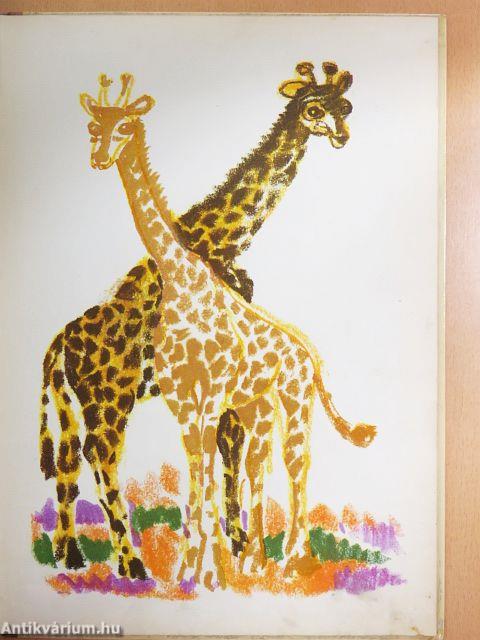 Meghívó az Állatkertbe