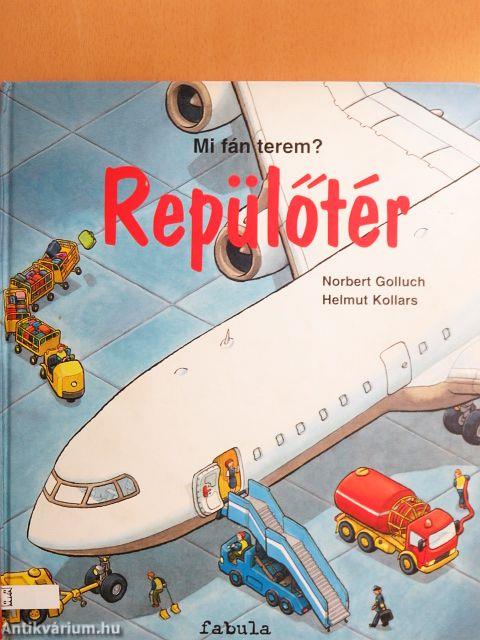Repülőtér