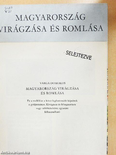 Magyarország virágzása és romlása
