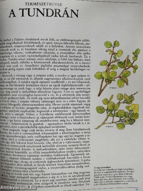 Az amatőr természetbúvár