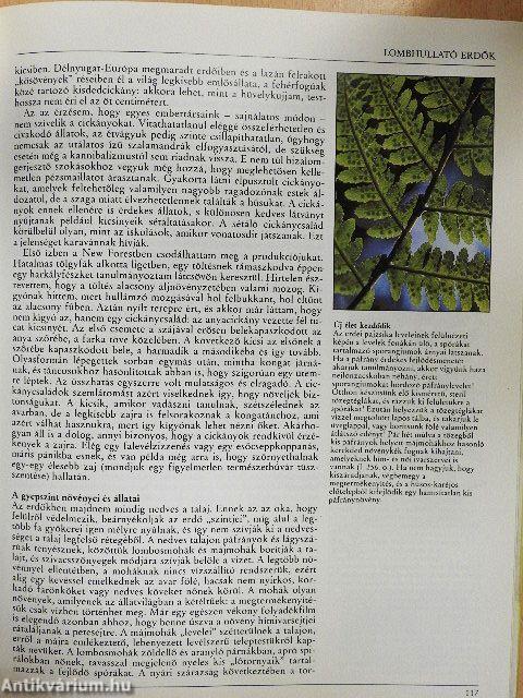 Az amatőr természetbúvár