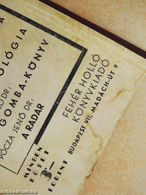 Rejtelmes világ a tenger alatt