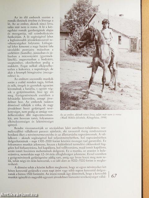 A magyarországi cigányság kultúrája: etnikus kultúra vagy a szegénység kultúrája