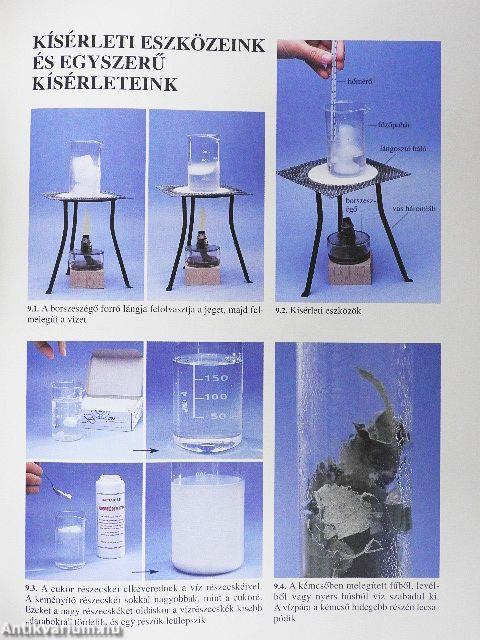 Természetismeret 5.