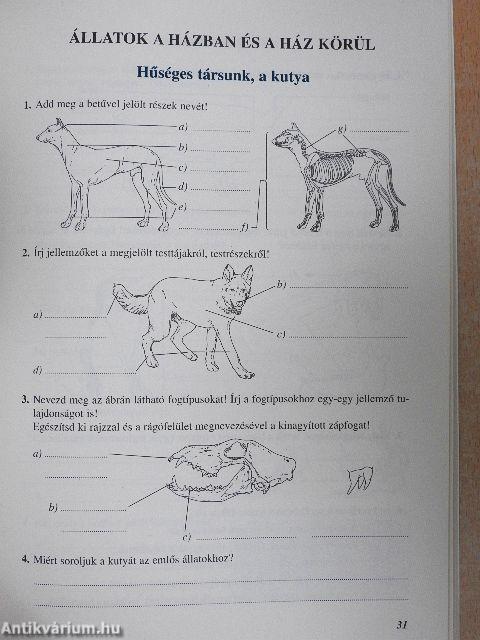 Természetismeret munkafüzet 5.