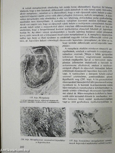 A háziállatok kórbonctana 1-2.