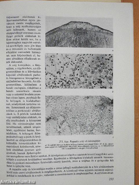 A háziállatok kórbonctana 1-2.