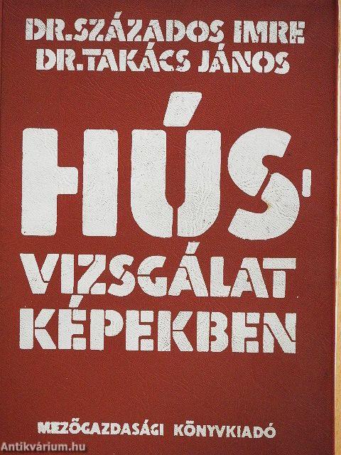 Húsvizsgálat képekben