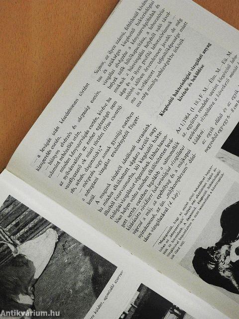 Húsvizsgálat képekben