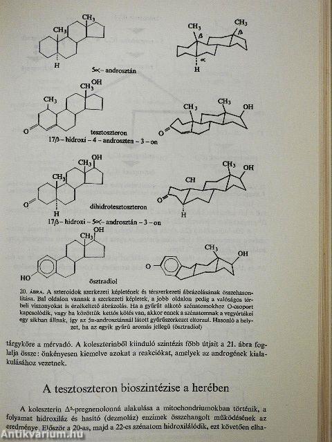 A hímivarú állatok szaporodásbiológiája