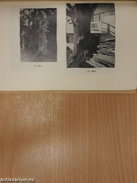 A negativ elektromos földsugárzás káros hatása emberre, állatra, növényvilágra és az ellene való védekezés