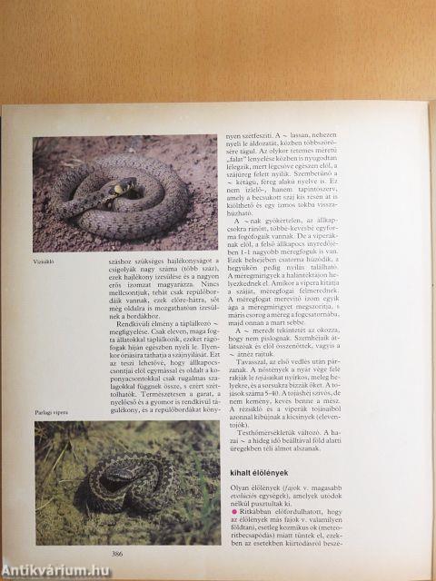 Móra lexikon I-II.