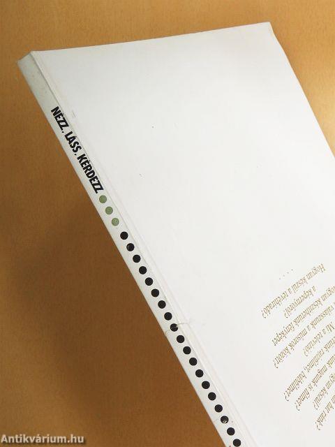 Tömegkommunikáció