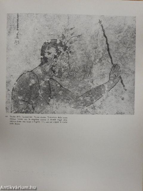 Pittura Etrusca in Tarquinia