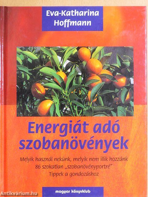 Energiát adó szobanövények