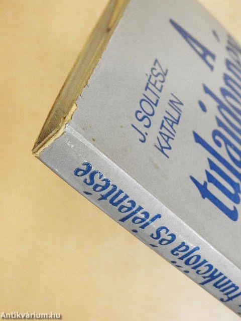 A tulajdonnév funkciója és jelentése