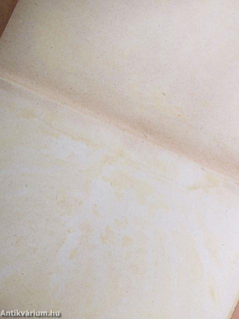 Az új ember kovácsa I-II.