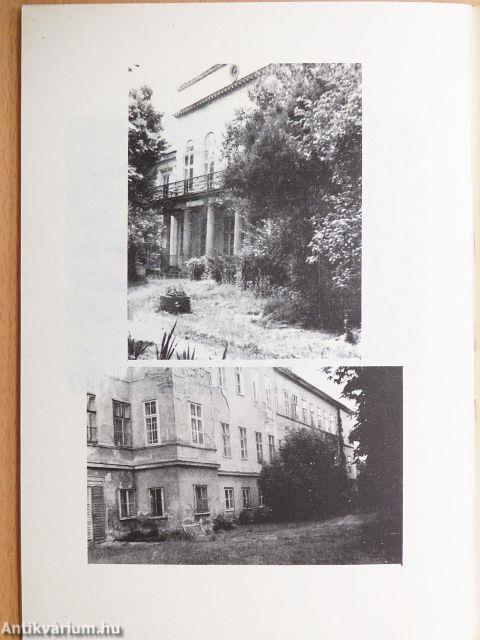 Magyarság és Európa/Mai Széchenyi