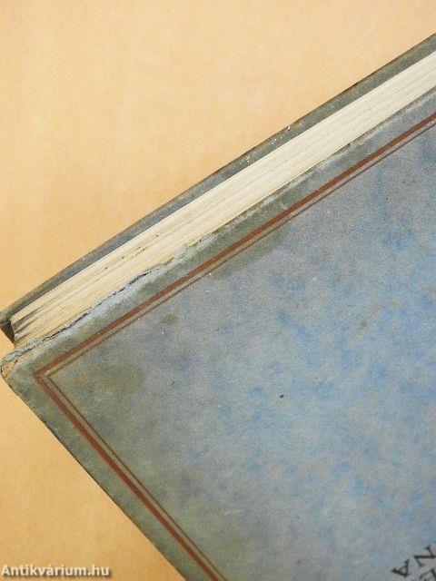 Der Ketzer von Soana