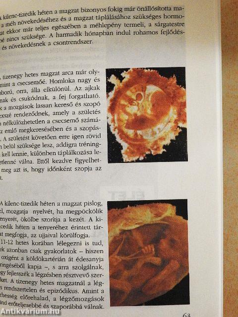 Szeresd és engedd élni