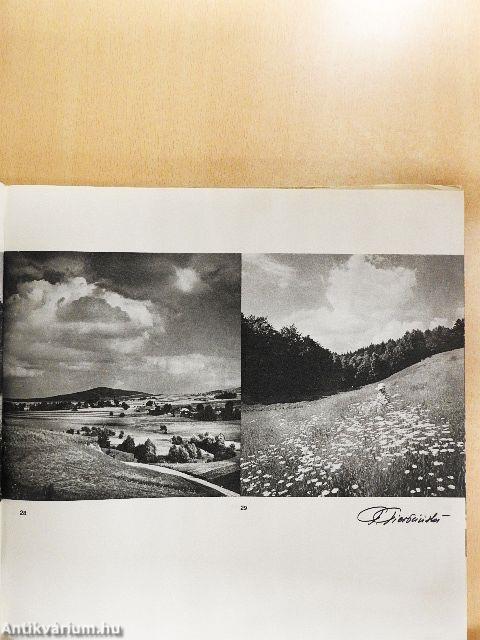 Kieleckie krajobrazy