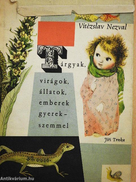 Tárgyak, virágok, állatok, emberek gyerekszemmel