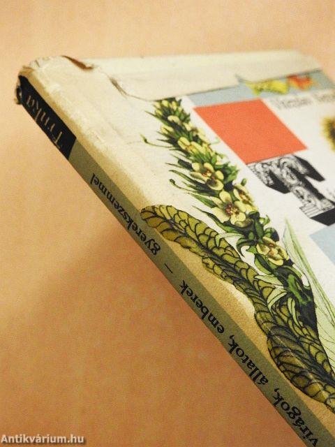 Tárgyak, virágok, állatok, emberek gyerekszemmel