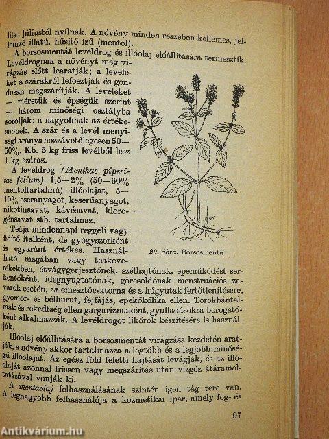 Gyógyító növények