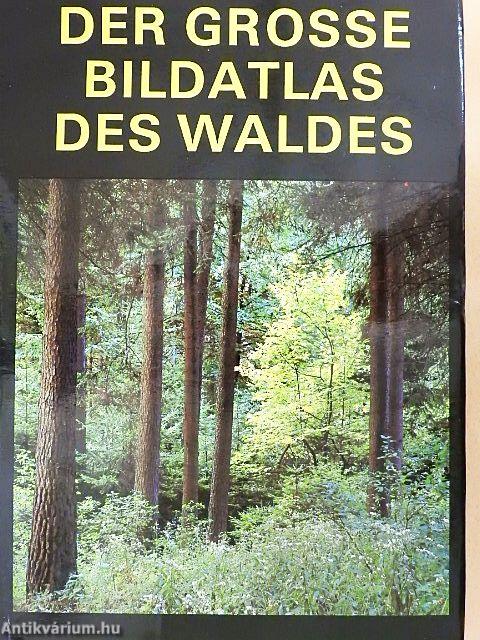 Der grosse Bildatlas des Waldes