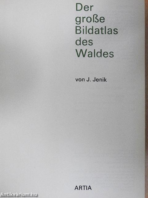 Der grosse Bildatlas des Waldes