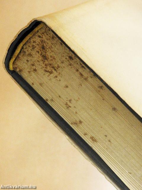 A munkára nevelés hazai történetéből