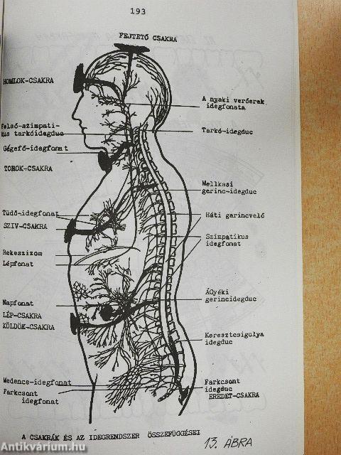 A kúrák könyve I.