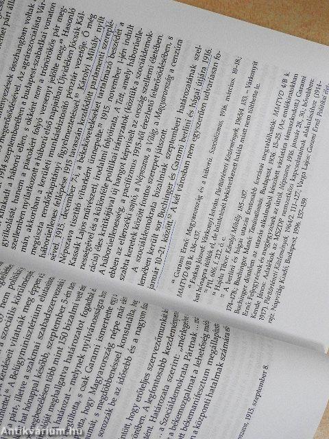 Háború, forradalom, szociáldemokrácia Magyarországon