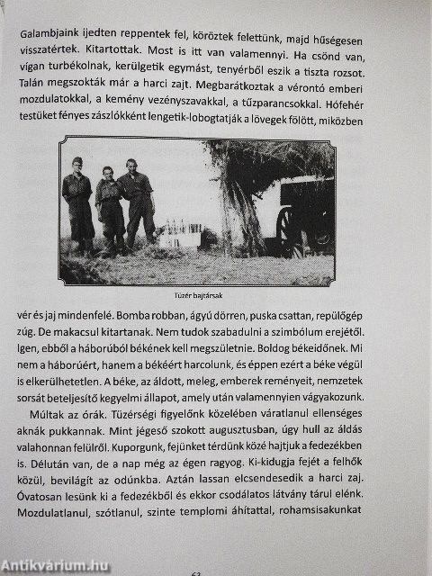 Galambok a tüzelőállásban