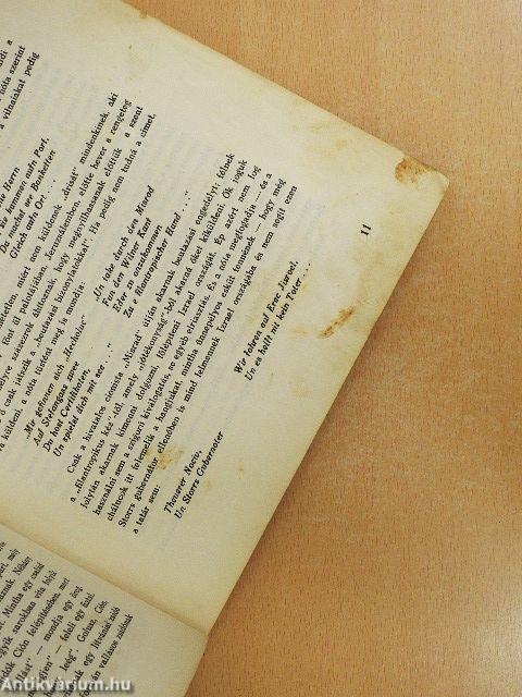 A föltámadó Szentföld