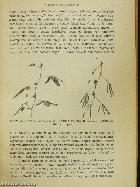 Természettudományi Közlöny 1903. január-december/Pótfüzetek a Természettudományi Közlönyhöz 1903. január-december