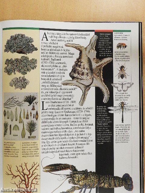 Az ész és a vér kora