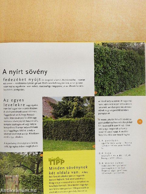 Lazán öröm kertészkedni