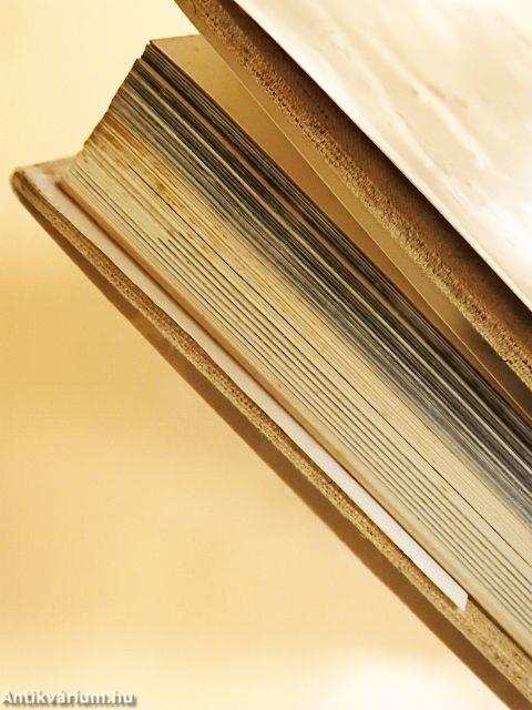 Indonézia művészete