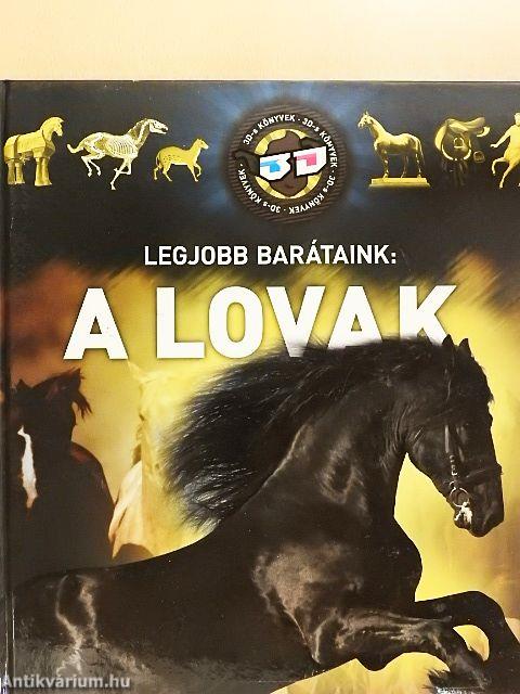 Legjobb barátaink: a lovak