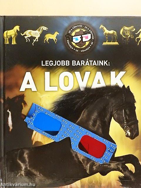 Legjobb barátaink: a lovak