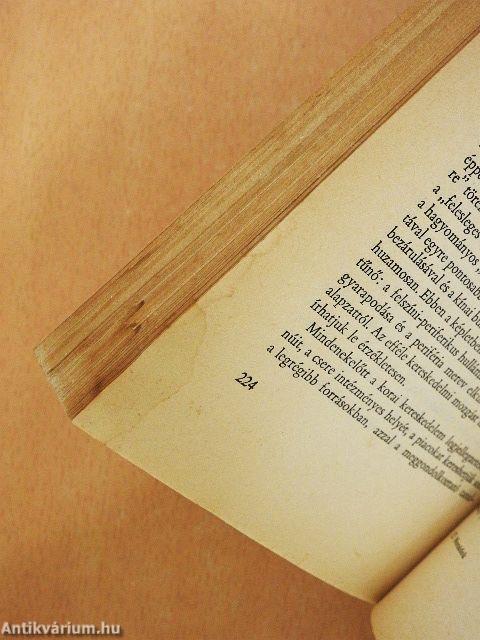 Nomádok és kereskedők Kína határain