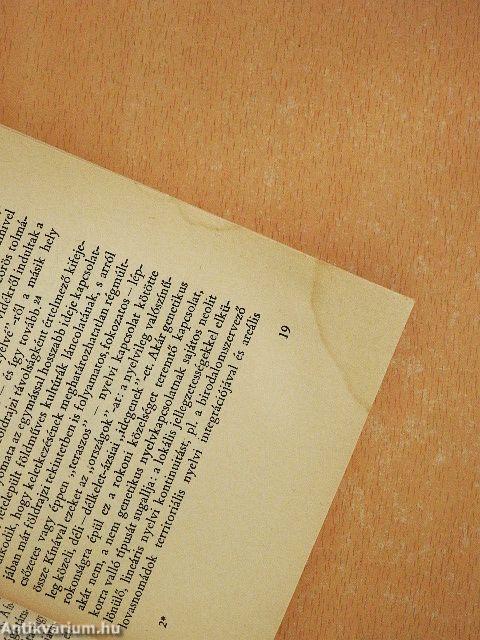 Nomádok és kereskedők Kína határain