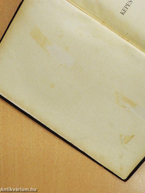 A magyar irodalom története I.