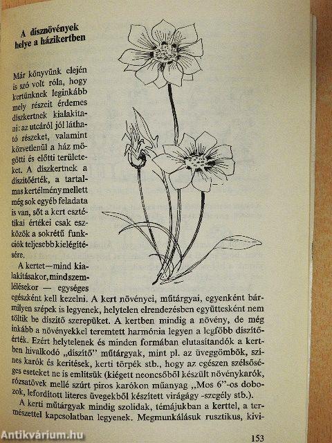 Nagy öröm a kiskert!