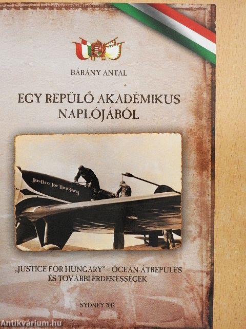 Egy repülő akadémikus naplójából