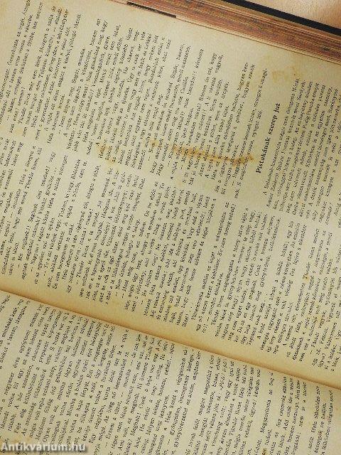 Uj Idők 1899. (nem teljes évfolyam)